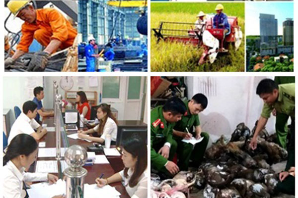Chỉ đạo, điều hành của Chính phủ, Thủ tướng Chính phủ nổi bật tuần từ 1 - 5/1/2019